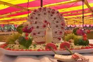 flower show organized at Maitri Bagh bhilai