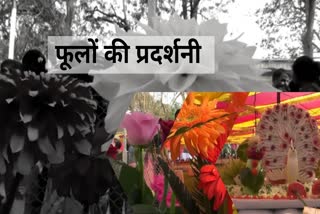 flower show organized at Maitri Bagh bhilai