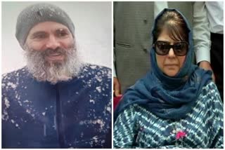 details on psa against omar and mehbooba