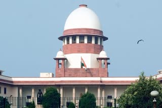 delhi shaheen bagh anti caa nrc protest supreme court hearing