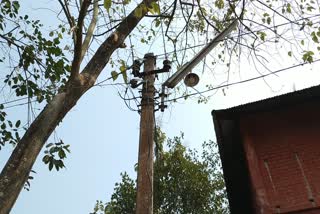 Bilashipara cultivator use illegal electricity current for agriculture