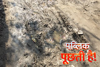 residents of saboli bagh are disturbed by bad condition of road in delhi