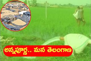 telangana agriculture situation latest news