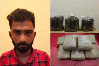 16 കിലോ കഞ്ചാവുമായി യുവാവ് പിടിയിൽ  railway police  തീവണ്ടി  cannabis in palakkad  cannabis  palakkad latest news  ചെന്നൈ മംഗലാപുരം എക്‌സ്‌പ്രസ്സ്