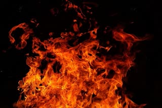 maharashtra woman set ablaze