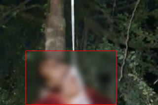mans-body-found-hanging-from-tree