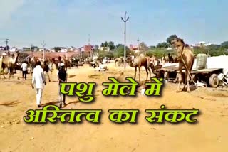 karauli news  shivaratri fair in karauli  animals reduced at shivaratri fair