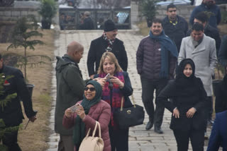 Govt to take another batch of foreign envoys to J&K this week