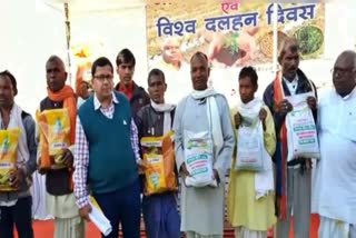 MLA and collector celebrates World Pulses Day by reaching among farmers