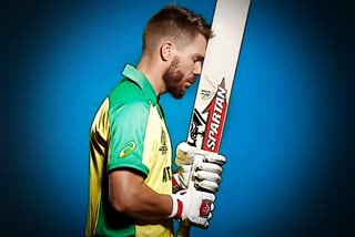 david warner thinking t20 international cricket retirement