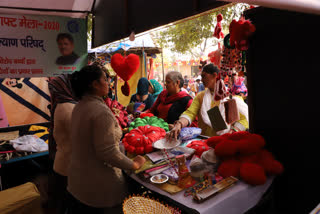 child welfare council stall in surajkund mela