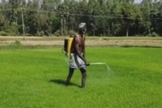 Ten years later rain-fed agriculture