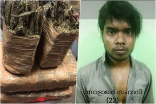 ganja seized in ernakulam  ganja seized  dadabhai ernakulam  Sanford Police Department  Sanford Police Department ernakulam  കൊച്ചിയിൽ കഞ്ചാവ് വേട്ട  കഞ്ചാവ് വേട്ട  ദാദാഭായ്  എറണാകുളത്ത് കഞ്ചാവ് വേട്ട  കഞ്ചാവ് പിടിച്ചു