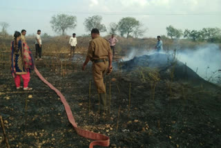 tobacco crop burnt due to fire accident in  giddaluru