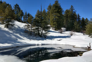 Sattal trek.