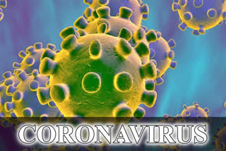 corona virus