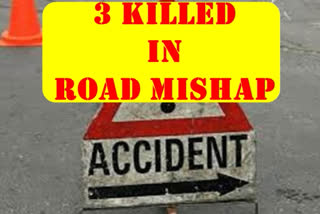 3 killed, 1 hurt in separate road mishaps in UP