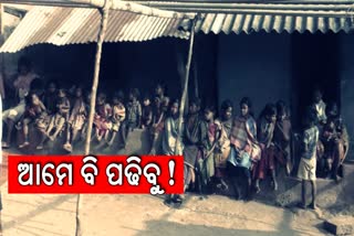 ନିୟମଗିରିର ଡ଼ଙ୍ଗରିଆଙ୍କ ପାଇଁ ଶିକ୍ଷା ବ୍ୟବସ୍ଥା ବାଟବଣା