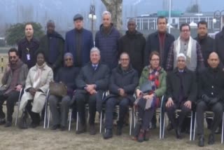 25-foreign-envoys-reach-kashmir-to-witness-ground-situation