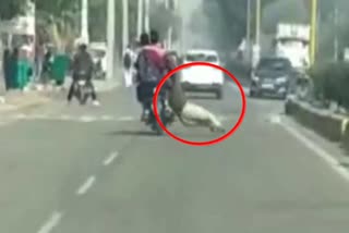home guard dragged by bikers in sonipat