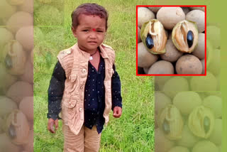 A boy trapped in the throat killed a sapota nut in jagityala district