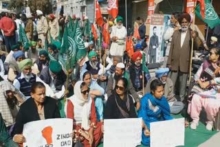 protest begins in mansa in support of shaheen bagh