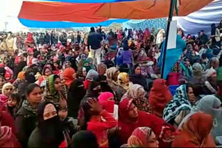 Shaheen Bagh female protesters protested silently and opposed the CAA