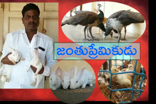 a teacher was Animal lover in  donn iti college at kurnool