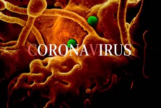 coronavirus