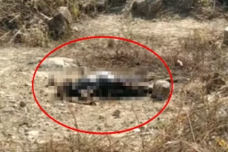 Burnt body of woman found in Kerala