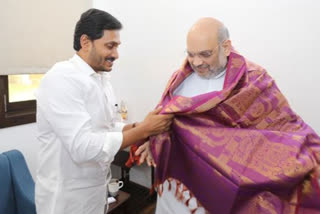 cm jagan to meet amith shah