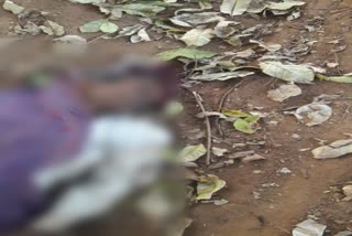 Body of unknown youth recovered from forest in chatra