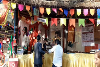 srilankan handicraft in 34th surajkund mela