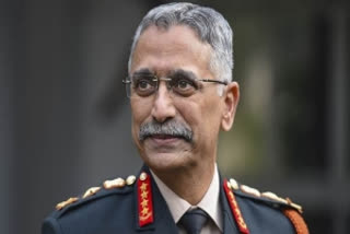 Army Chief General MM Naravane (file image)