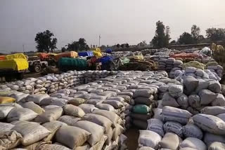 fasting-continued-for-seventh-day-at-paddy-procurement-center-rimari-rewa