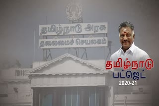 பட்ஜெட் 2020-21