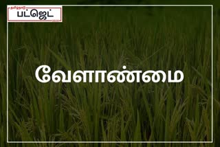 agriculture allotment in 2020 Tamilnadu