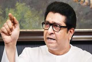 mns president raj thackrey