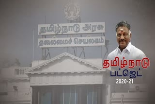 pension announcement in tamilnadu budget 2020