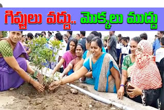 CM KCR birthday Plant the trees in telangana