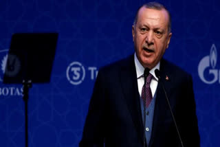 Kashmir as important to Turkey as it is to Pakistan, says Erdogan