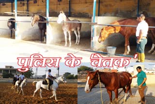 bharatpur news  horses in bharatpur police  police who are without salary  bharatpur police new