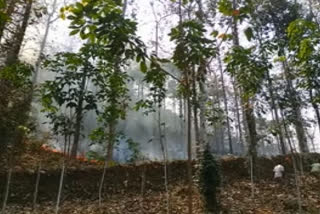 kothamangalam forest fire  vatatupara muslim church  forest fire  കാട്ടുതീ പടരുന്നു  വനംവകുപ്പ്  കോതമംഗലത്ത് കാട്ടുതീ