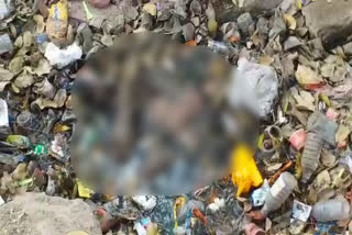 भीलवाड़ा की खबर, body found in a drain, bhilwara news