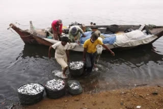 23 Indian fishermen apprehended by Pak off Guj coast: Official