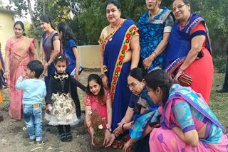 Mother-in-law celebrated Valentine's Day by planting saplings