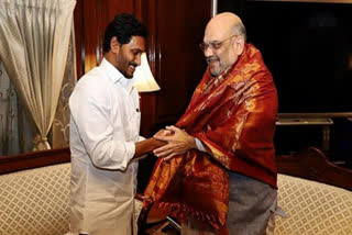 cm jagan met home minister amith sha in delhi