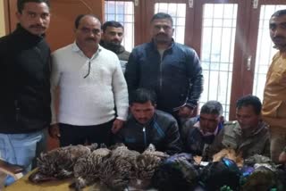 Forest Department caught seven monals from three people in palampur