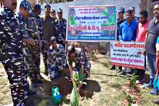 CRPF planted 40 plants remembering Pulwama martyrdom in Kondagaon