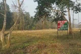 Valmiki Nagar Tiger Reserve